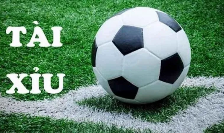 Chơi Kèo Tài Xỉu Như Một Chuyên Gia 1 kèo tài xỉu